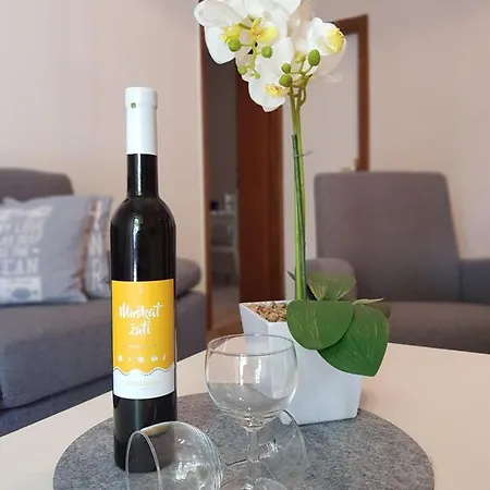 Vjekoslav Sea View Apartment Promajna