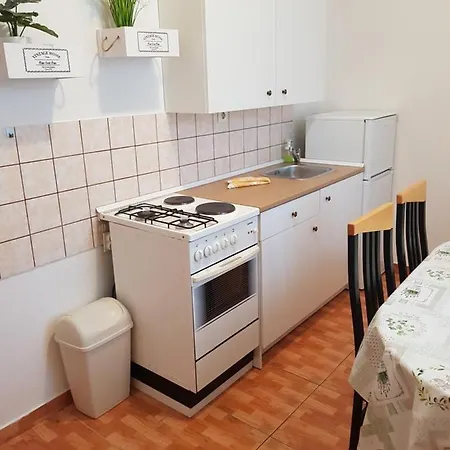 Apartment Vjekoslav Sea View Promajna